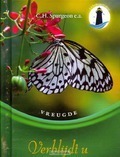 VERBLIJDT U - VREUGDE - SPURGEON, C.H. - 9789033126536