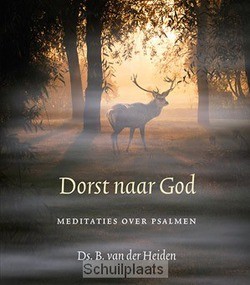 DORST NAAR GOD - HEIDEN, B. VAN DER - 9789033129469