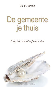 DE GEMEENTE JE THUIS - BRONS, H. - 9789033129599
