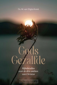 GODS GEZALFDE - SLIGTENHORST, DS. M. VAN - 9789033132018