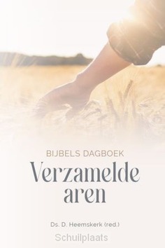 VERZAMELDE AREN 2024 - 9789033132568