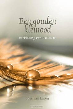 EEN GOUDEN KLEINOOD - LAREN, JOOS, VAN - 9789033133688