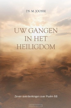 UW GANGEN IN HET HEILIGDOM - JOOSSE, M - 9789033133701