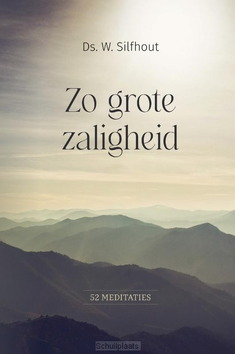 ZO GROTE ZALIGHEID - SILFHOUT, DS. W. - 9789033134371