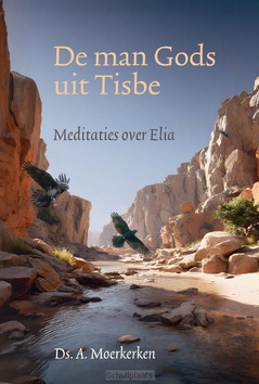 DE MAN GODS UIT TISBE - MOERKERKEN, DS. A. - 9789033134388
