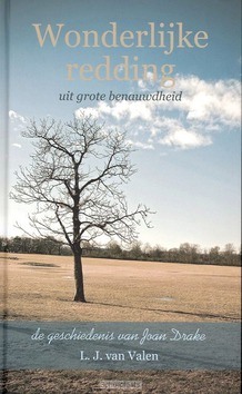 WONDERLIJKE REDDING UIT GROTE BENAUWDHEI - VALEN - 9789033606700