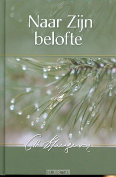 NAAR ZIJN BELOFTE - SPURGEON - 9789033607547