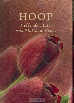 HOOP - HENRY, M. - 9789033631900