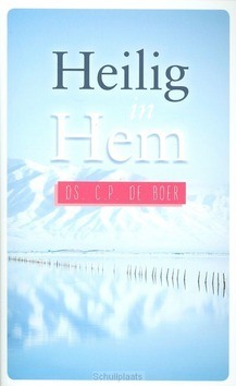 HEILIG IN HEM - BOER, C.P. DE - 9789033634468