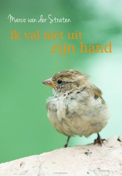 IK VAL NIET UIT ZIJN HAND - STRATEN, MARCO VAN DER - 9789033819896