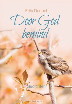 DOOR GOD BEMIND - DEUBEL, FRITS - 9789033826757