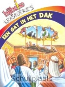 GAT IN HET DAK - 9789033830457
