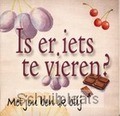 IS ER IETS TE VIEREN?