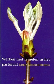 WERKEN MET RITUELEN IN HET PASTORAAT - MENKEN-B - 9789043502825