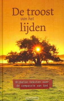 DE TROOST VAN HET LIJDEN - 9789043518994
