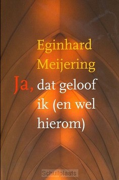 JA, DAT GELOOF IK (EN WEL HIEROM) - MEIJERING, E P. - 9789043525824