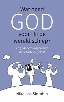 WAT DEED GOD VOOR HIJ DE WERELD SCHIEP? - SINTOBIN, NIKOLAAS - 9789043532136