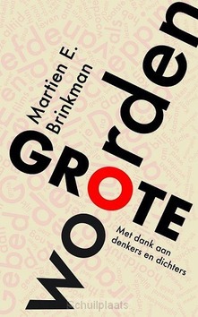 GROTE WOORDEN - BRINKMAN, MARTIEN - 9789043532600