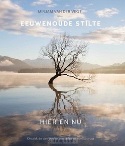 EEUWENOUDE STILTE HIER EN NU - VEGT, MIRJAM VAN DER - 9789043534994