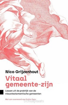 VITALE GEMEENSCHAPPEN - GRIJZENHOUT, NICO - 9789043536073