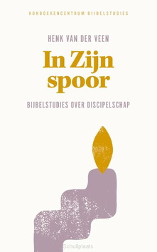 IN ZIJN SPOOR - VEEN, HENK VAN DER - 9789043545310