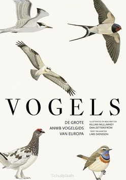 VOGELS - SVENSSON, LARS; MULLARNEY, KILLIAN; ZETT - 9789043940580