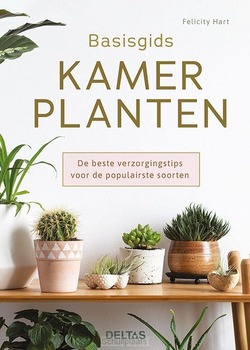 BASISGIDS KAMERPLANTEN - HART, FELICITY - 9789044762419