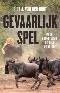 GEVAARLIJK SPEL - HOUT, PIET J. VAN DEN - 9789045038742