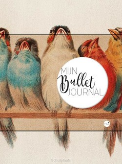 MIJN BULLET JOURNAL / VINKJES - 9789045327273