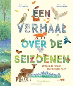 EEN VERHAAL OVER DE SEIZOENEN - WILSON, ANNA - 9789048322596