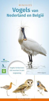 Minigids vogels van Nederland en België - Louwe Kooijmans, Jip - 9789050115339