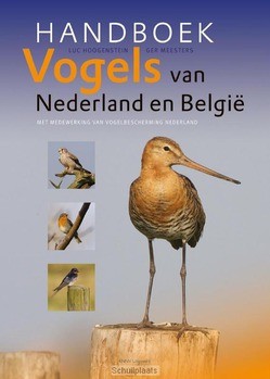 HANDBOEK VOGELS VAN NEDERLAND EN BELGIË - HOOGENSTEIN, LUC; MEESTERS, GER - 9789050115803