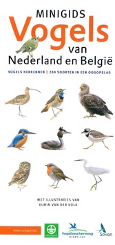 MINIGIDS VOGELS VAN NEDERLAND EN BELGIË - LOUWE KOOIJMANS, JIP - 9789050116985