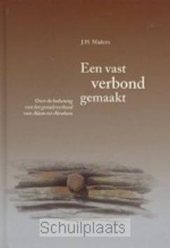 VASTGEMAAKT VERBOND - MADERN - 9789055514878