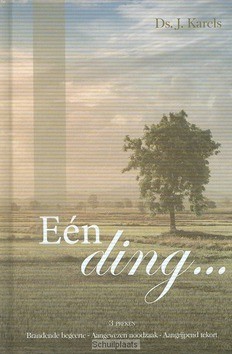 EEN DING.... - KARELS, J. - 9789055518333