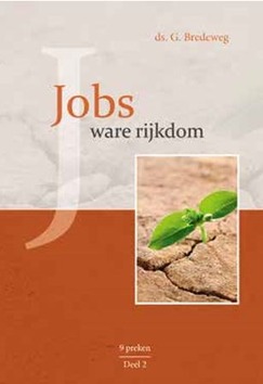 JOBS WARE RIJKDOM 2 - BREDEWEG, G. - 9789055519040
