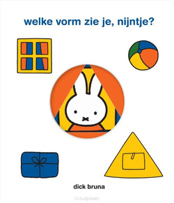 WELKE VORM ZIE JE, NIJNTJE? - BRUNA, DICK - 9789056479213