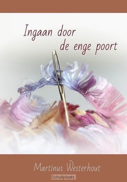 INGAAN DOOR DE ENGE POORT - WESTERHOUT, MARTINUS - 9789057412578