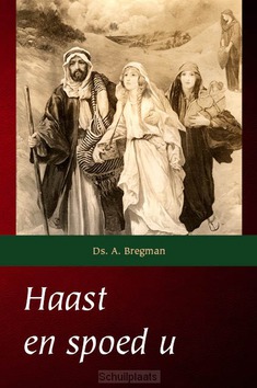HAAST EN SPOED U - BREGMAN, DS. A. - 9789057414596