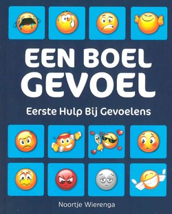 EEN BOEL GEVOEL - WIERENGA, NOORTJE - 9789058041692