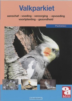 DE VALKPARKIET - KOOTEN, A. VAN - 9789058211668