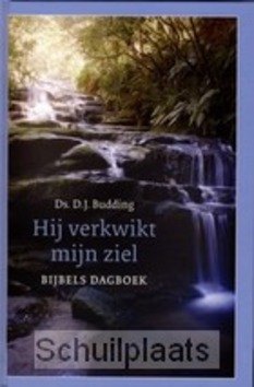 HIJ VERKWIKT MIJN ZIEL - BUDDING, D.J. - 9789058296863