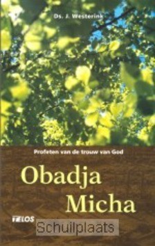 OBADJA EN MICHA - WESTERINK - 9789058810939