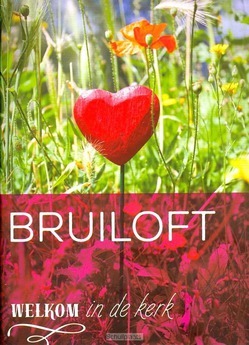 WELKOM IN DE KERK BRUILOFT - LEENE, ALMATINE - 9789058818867