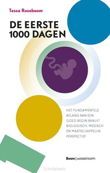 DE EERSTE 1000 DAGEN - ROSEBOOM, TESSA - 9789058983336