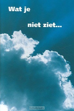 WAT JE NIET ZIET - 9789059071902