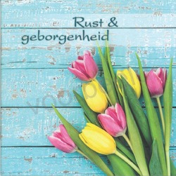RUST EN GEBORGENHEID - 9789059075962