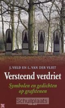 VERSTEEND VERDRIET - VELD, J. - 9789059110847