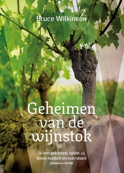 GEHEIMEN VAN DE WIJNSTOK - WILKINSON, B. - 9789059992214