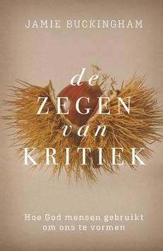 ZEGEN VAN KRITIEK, DE - BUCKINGHAM, JAMIE - 9789059992917